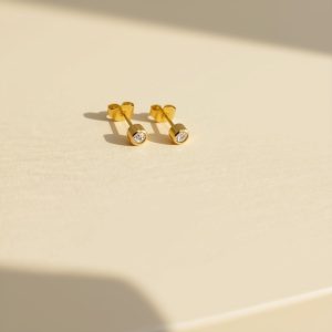 Puces d’oreilles Éclat
